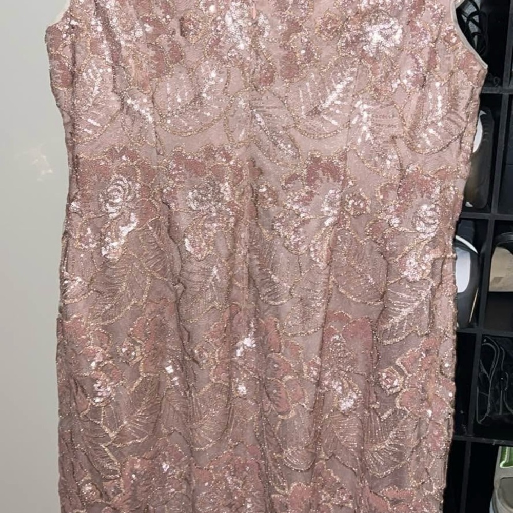 Alex Evenings Rose Gold Sequin Dress